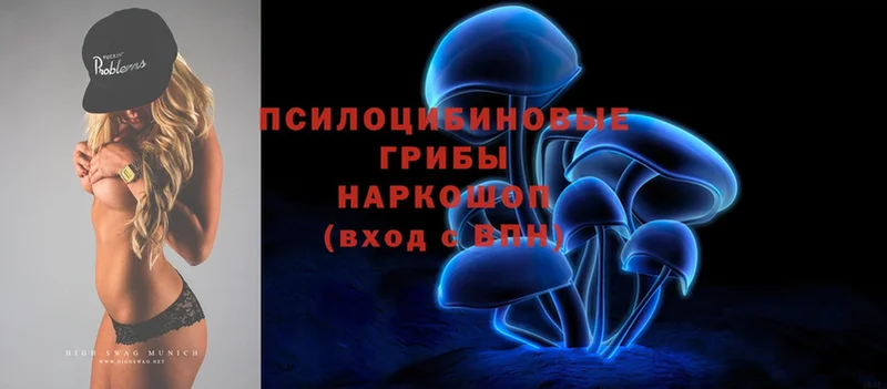 Псилоцибиновые грибы Cubensis  Одинцово 